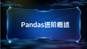 Pandas进阶概述